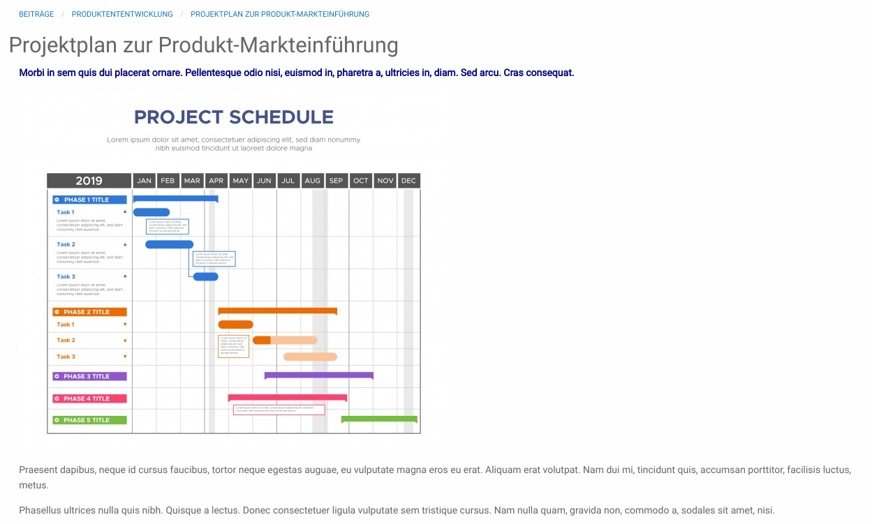 Ansicht Beitrag Projektplan